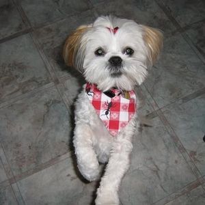 Meet your Posher, Jannick